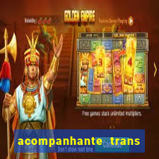 acompanhante trans em porto alegre